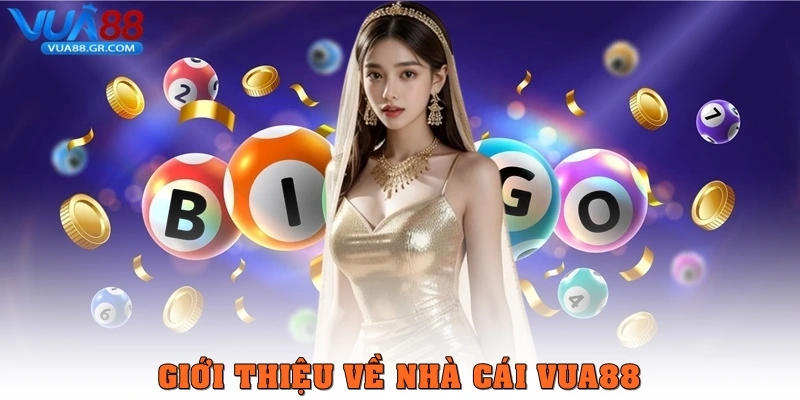 Giới thiệu về nhà cái Vua88