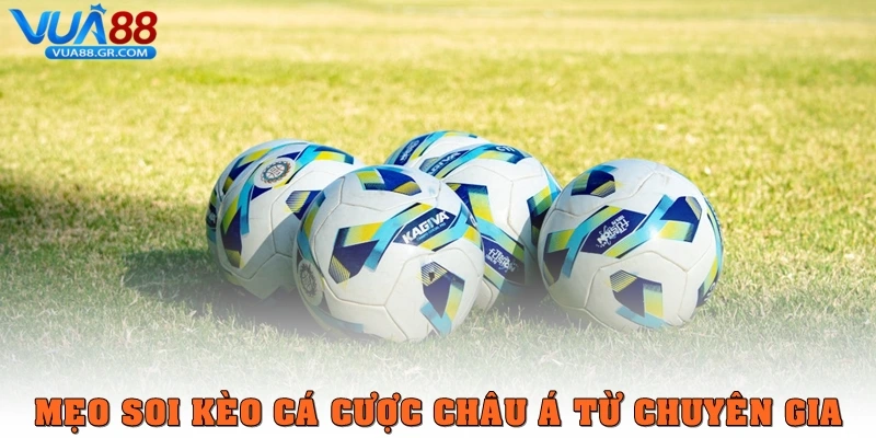 Kèo cá cược châu Á – Cách chinh phục tiền thưởng Vua88 Mẹo soi kèo cá cược châu Á từ chuyên gia